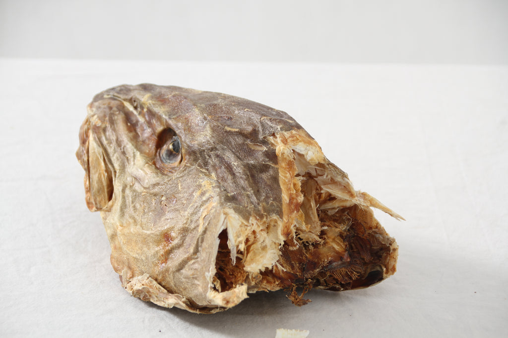 Stock Fish Head